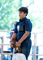 MJC_0384